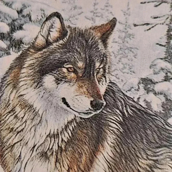 Bradford Exchange Mystic Pathfinder sacred series EUC - Picture 5 of 8